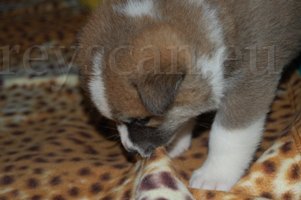 18 ti pomůžu...jpg